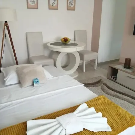 Apartament Simona Bor