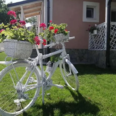 Apartament Simona Bor