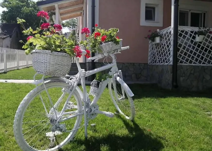 Апартаменты Simona Бор